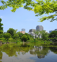 檜町公園